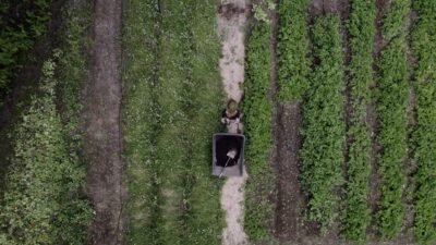 Fantastic farm land