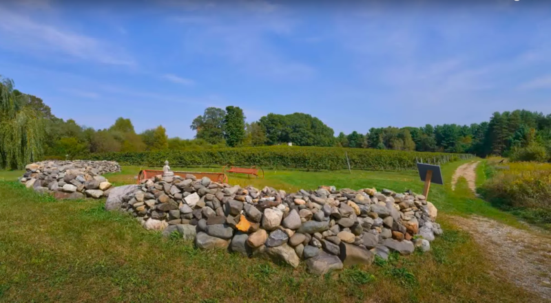 Vignoble Clos de l'Orme blanc