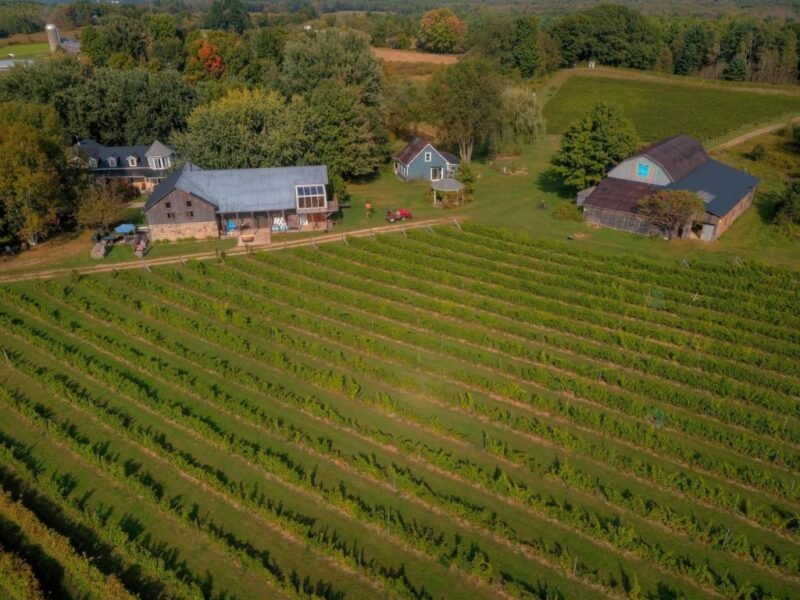 Vignoble Clos de l'Orme blanc